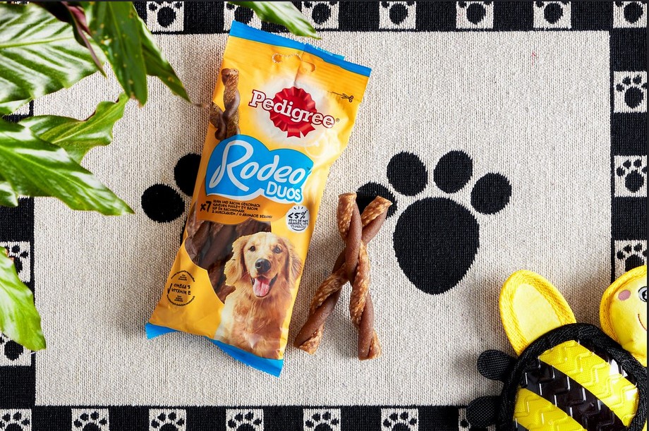 Najděte společnou řeč se svým psem – trenér radí, jak na moderní trénink 1 Pedigree