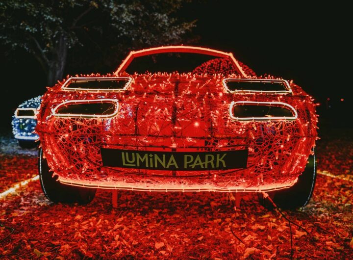 LUMINA PARK