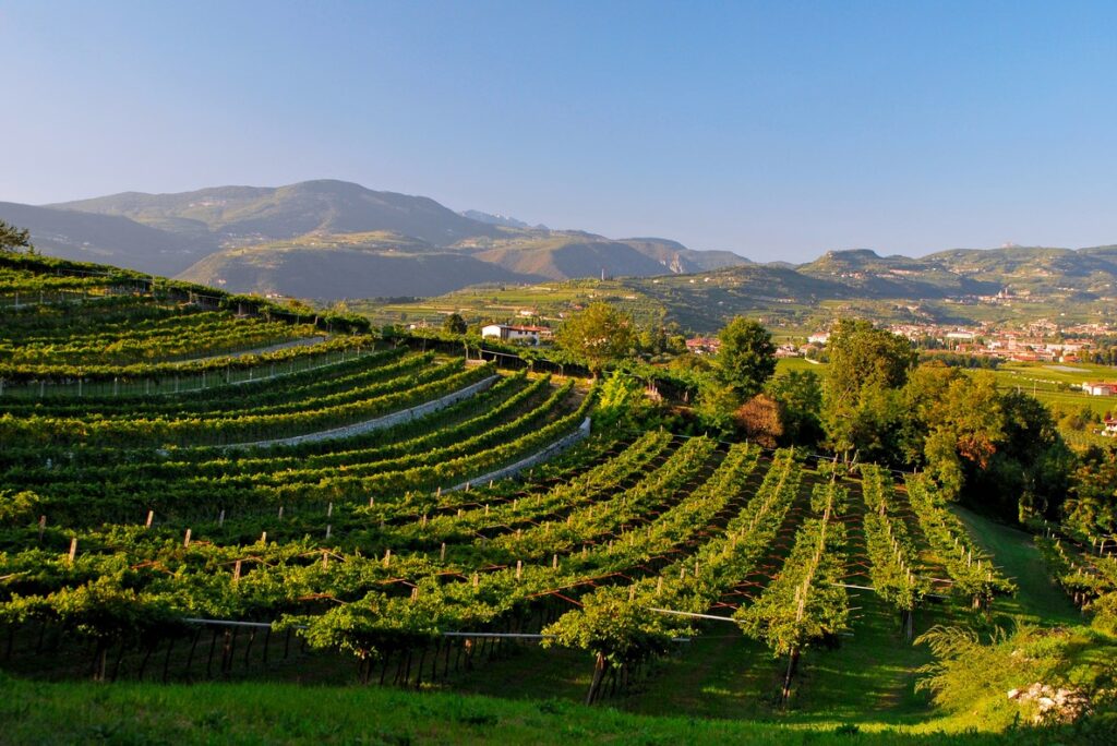 Terroir vín Valpolicella