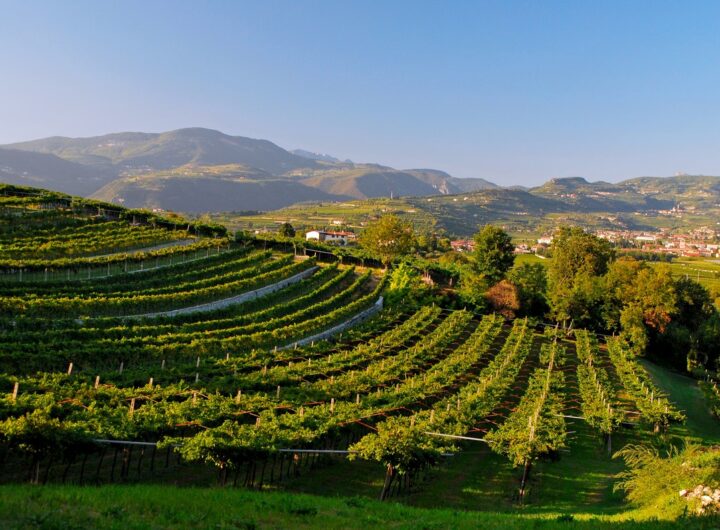 Terroir vín Valpolicella