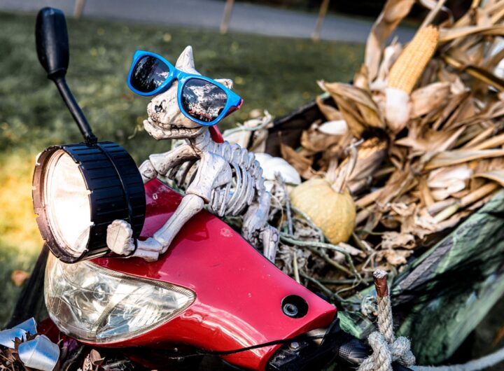 Zoo Zlín, Halloween