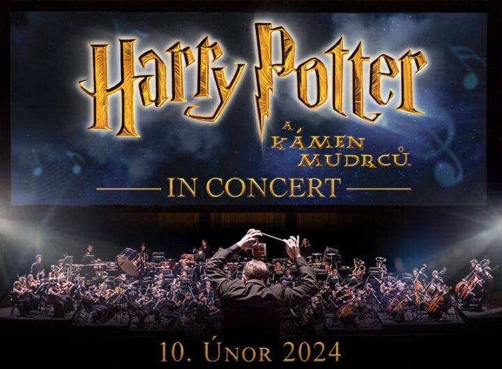 Harry Potter a Kámen mudrců