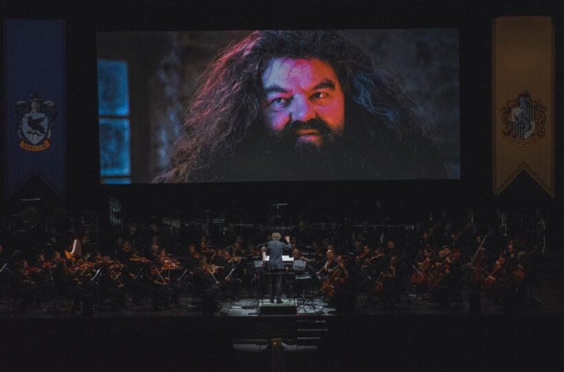 Harry Potter a Kámen mudrců