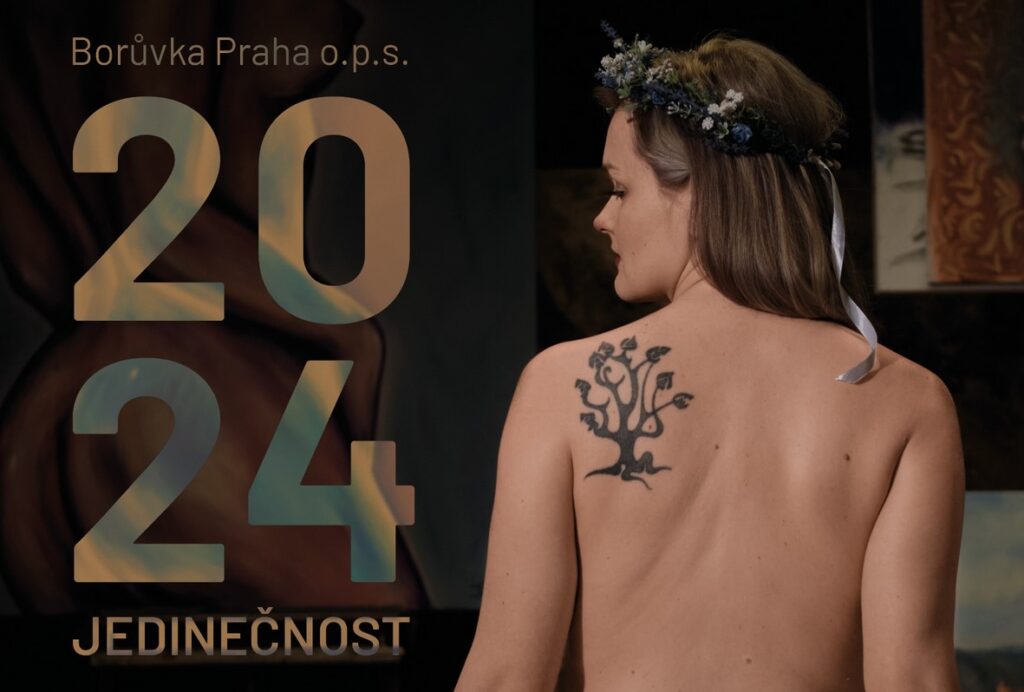 Jedinečnost, Borůvka