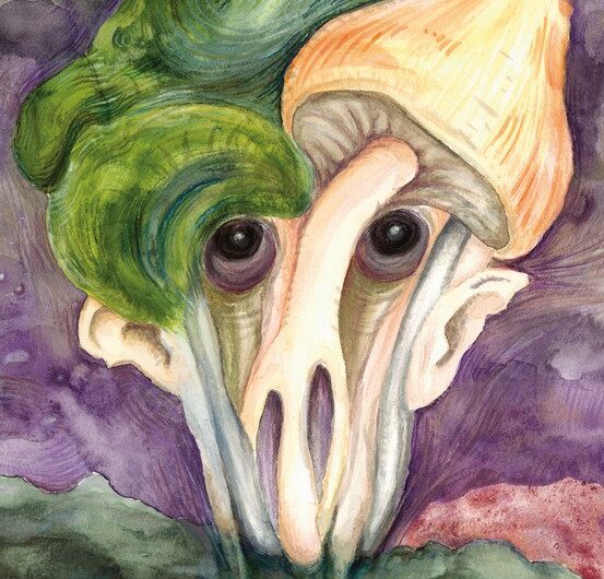 Strašidelná Šumava