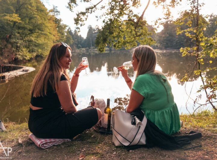 Táborský festival vína
