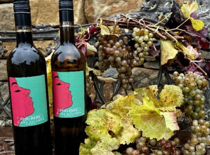 mladá vína z Archlebova, vinařství SPIELBERG, víno, vinařství, Slovácko, Jižní Morava, Ester Ledecká