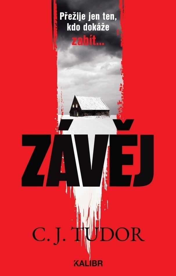 Závěj