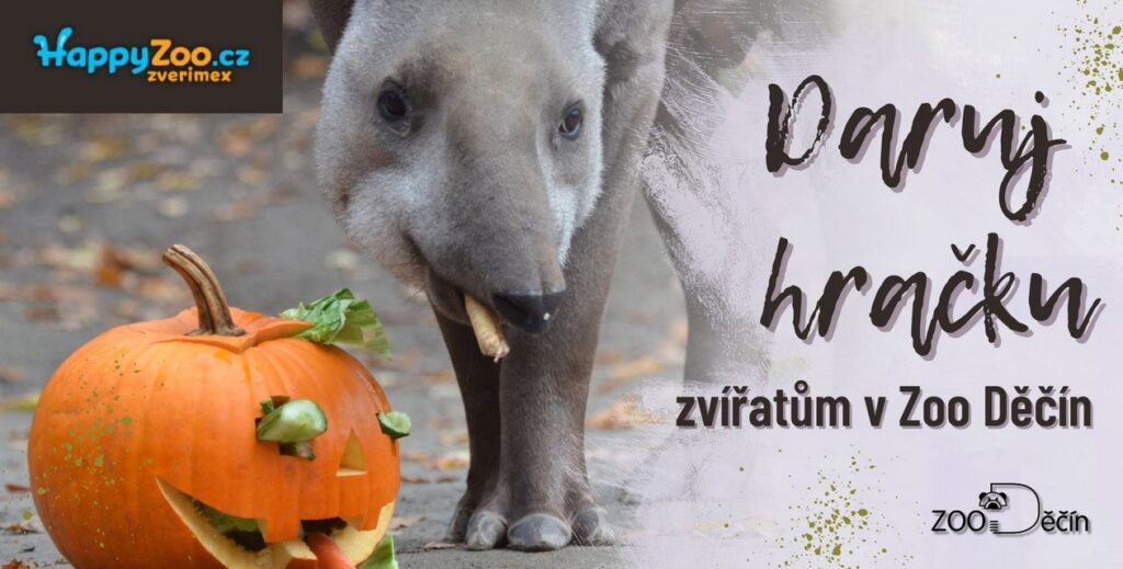Daruj hračku, Zoo Děčín