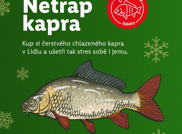 Lidl - netrap kapra