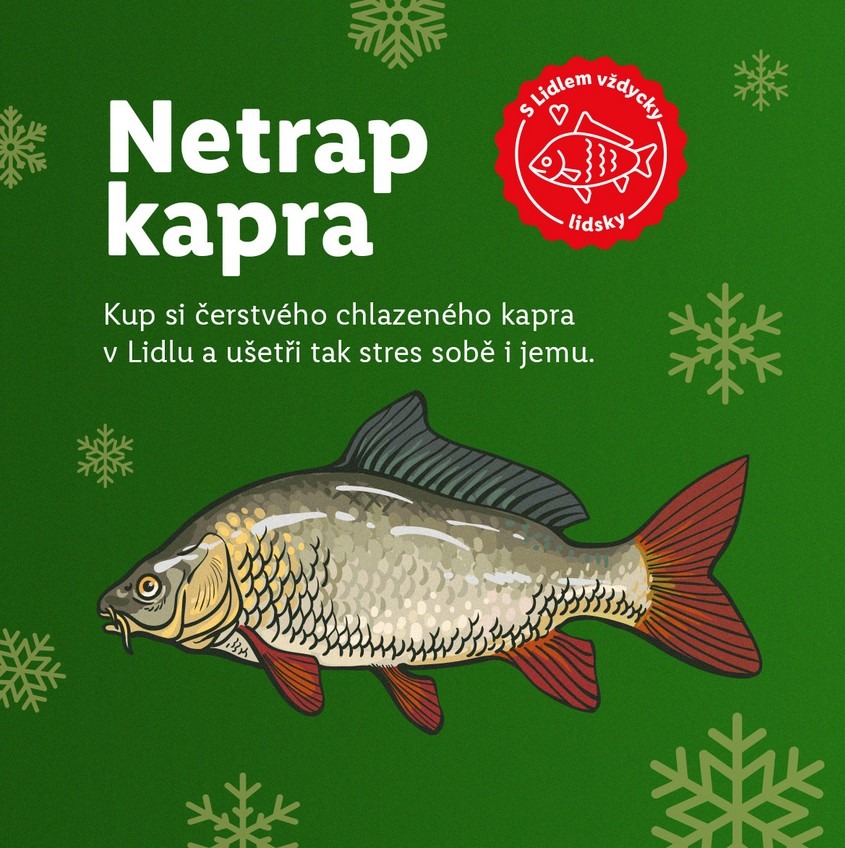 Lidl - netrap kapra