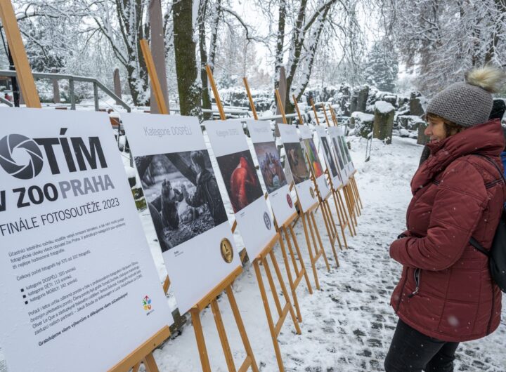Zoo Praha
