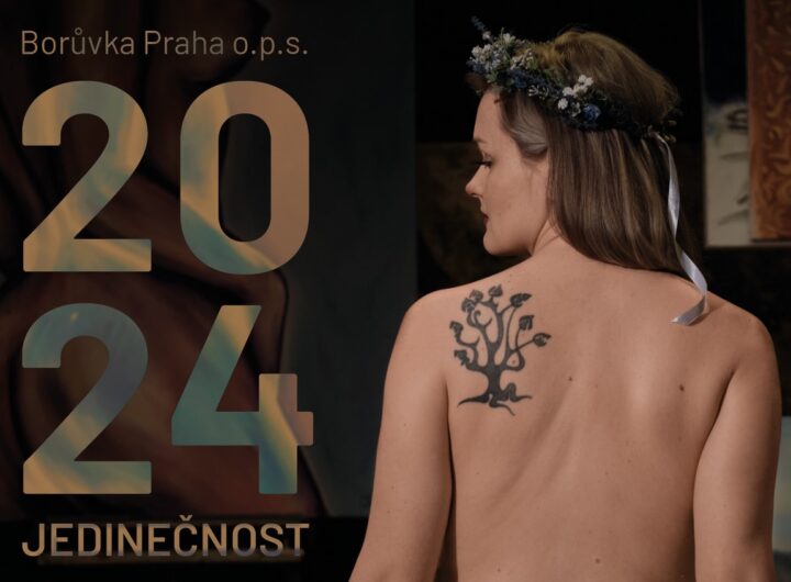 charitativní kalendář Jedinečnost 2024