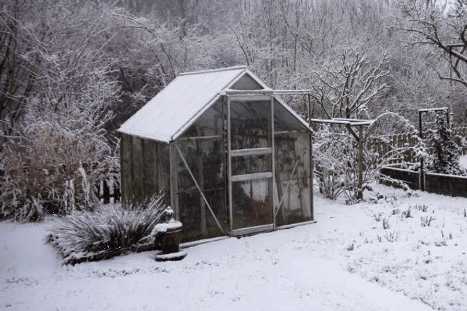 Jak zabezpečit skleník