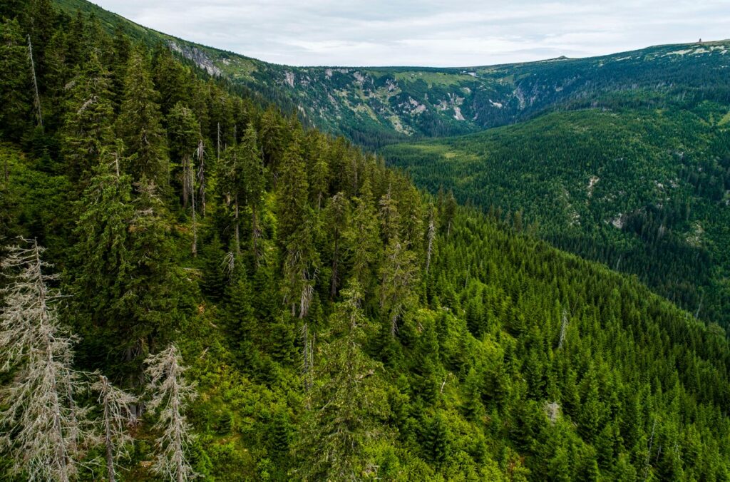 Krkonošský rok Harrachů
