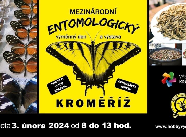 Výstava brouků a motýlů, Výstaviště Kroměříž, sobota 3.2.2024