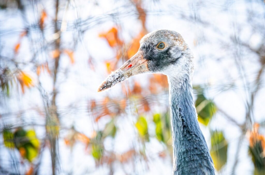 Zoo Ostrava
