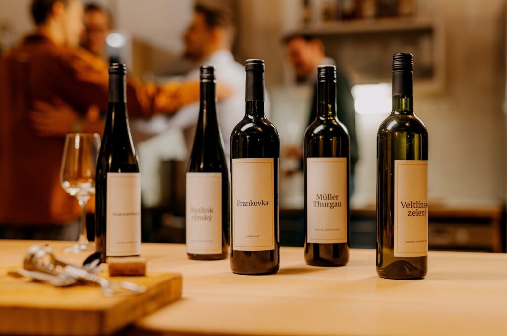 moravská a česká vína