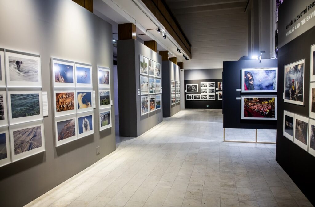 Czech Press Photo 2023