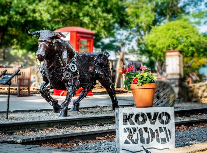 Kovo zoo