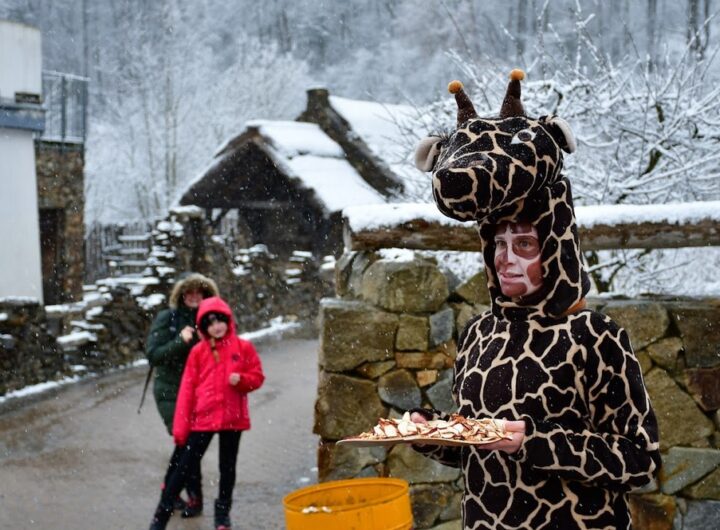 Zoo Jihlava, Masopust