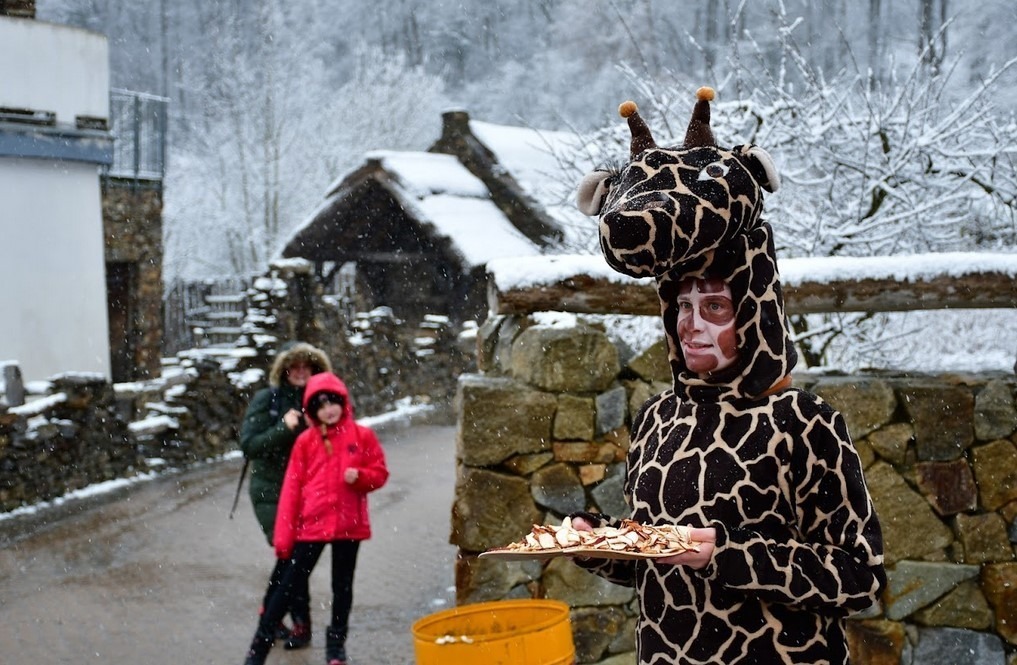 Zoo Jihlava, Masopust