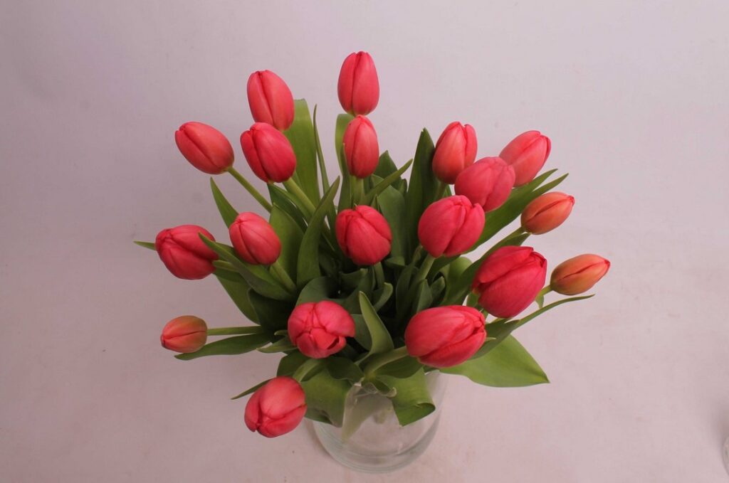 Mezinárodní den žen