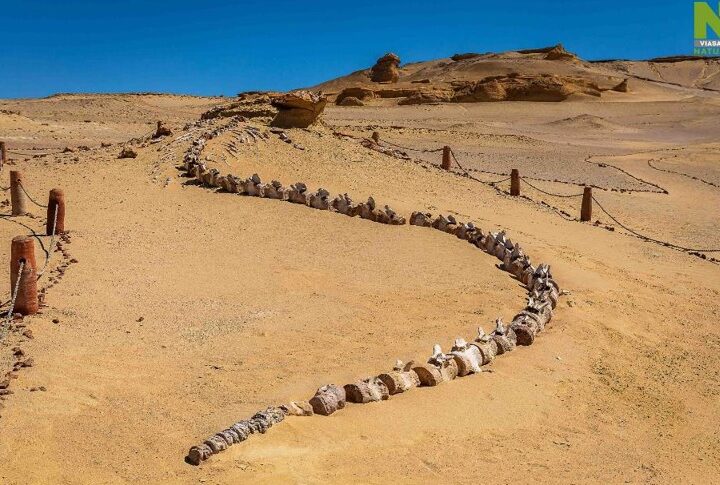 Tajemné údolí velryb v Egyptě