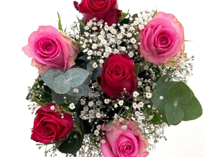 Valentýn, Kaufland, životní styl