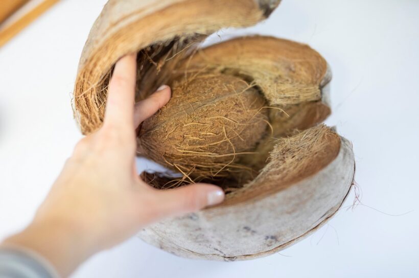 Výstava pro všechny smysly