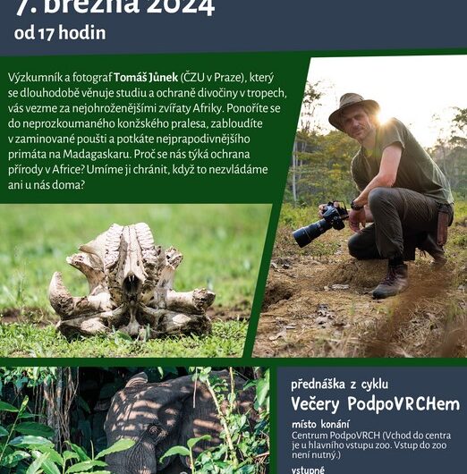 Zoo Jihlava, - Je slon nad zlato?