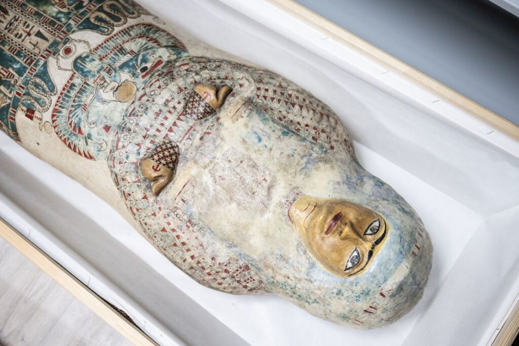 Hereret, česky Květina, je nejkrásnější staroegyptskou mumií v České republice. Její půvab a poutavý příběh budou moci od 26. března obdivovat návštěvníci nové výstavy Ve stínu pyramidy v Českém muzeu stříbra v Kutné hoře, v budově Hrádku v Barborské ulici. Návštěvníci zde uvidí také mumie kočky a sokolovitého dravce, amulety v podobě staroegyptských božstev, skaraby, pohřební sošky zvané vešebty, náhrdelníky a nádoby z počátku egyptské civilizace. Výstavu doprovodí také přednášky a komentované prohlídky věnované starověkému Egyptu, mumifikaci a sběratelství egyptských starožitností v českých zemích. „Výstava Ve stínu pyramidy představí jedinečnou mumii mladé urozené ženy, která byla pohřbena v Lahúnu ve středním Egyptě, a poukáže i na další kulturně-historické souvislosti spojené s vystavenými egyptologickými předměty. Vzácné nálezy věnoval v roce 1912 svému rodnému městu moravskotřebovský sběratel a mecenáš Ludwig Holzmeister,“ říká ředitelka Českého muzea stříbra Lenka Mazačová. „Téma starého Egypta považujeme za velmi prestižní a vzhledem k rekonstrukci Městského muzea v Moravské Třebové můžeme teď jejich celou egyptologickou kolekci ukázat i u nás. Nově s ní vystavíme také další pozoruhodné starožitnosti a amulety pocházející z našich vlastních sbírek a ze sbírek Náprstkova muzea v Praze,“ dodává Mazačová. K výstavě chystá České muzeum stříbra také vzdělávací programy pro žáky základních a středních škol. „Po stopách mumie budeme putovat i v létě, kdy jsme pro děti připravili dva turnusy příměstského tábora,“ uvádí ředitelka muzea, které patří k nejnavštěvovanějším památkám Středočeského kraje. Do boje se slepým Žižkou i za slávou kutnohorských varhanářů Vedle egyptologické výstavy připravuje muzeum od 5. dubna na Hrádku ještě další výstavu: „Letos si připomínáme 600 let od husitské bitvy u Malešova. Odehrála se poblíž malešovské tvrze, což je asi šest kilometrů od Kutné Hory. Bitvě velel tehdy již zcela slepý Jan Žižka. Přesto dokázal využít terénu tak, aby eliminoval početní převahu pražanů, které zde v jedné z nejkrvavějších bitev husitských válek porazil. Výstavu Kutná Hora husitská chceme pojmout jako interaktivní instalaci zaměřenou zejména na rodiny s dětmi,“ dodává Lenka Mazačová. K vidění bude například ukázka dobové zbroje a zbraní. Představí se rovněž soubor nálezů z nedalekého hradu Sion. „Díky kopiím řady předmětů se budou moci návštěvníci přenést do 15. století, stát se husitou a zařadit se po bok Jana Žižky táhnoucího na Kutnou Horu,“ zve na výstavu Mazačová. Souběžně s Hrádkem otevře novou výstavu i Kamenný dům, který je také součástí kutnohorského muzea. Zde bude – rovněž od 5. dubna – probíhat výstava Kutnohorská varhanářská škola. Ta představí dlouholetou tradici kutnohorského varhanářství od 17. do 20. století se zaměřením na jednotlivé varhanářské rody a jejich nástroje právě v tomto městě. Vzácné razidlo, housle i zlomek mlecího kamene České muzeum stříbra se pyšní i novým unikátním nálezem, jímž je bronzové razidlo na brakteáty. „Brakteáty byly jednostranné tenké stříbrné mince přímo předcházející ražbě pražských grošů, kterou v roce 1300 v Kutné Hoře zavedl Václav II.,“ vysvětluje Lenka Mazačová. „Do Vlašského dvora soustředil všechny dosavadní mincovny z celého království, včetně té ze Zhořelce, z níž pochází i toto razidlo. Brakteátová razidla jsou vzácná a v celé ČR je můžeme spočítat na prstech jedné ruky,“ upozorňuje ředitelka muzea. Druhou mimořádnou akvizicí jsou housle kutnohorského mistra houslaře Ferdinanda Josefa Homolky z roku 1847, jemuž se říkalo „kutnohorský Stradivari“. „A do třetice všeho mimořádného: od soukromého dárce jsme získali zlomek mlecího kamene určeného k rozemílání rudy, který našel v korytě říčky Vrchlice. Nález je jedinečný, jde o první doložený kámen z rudního mlýna v celém kutnohorském revíru. Stříbrnou rudu bylo totiž nutné před jejím tavením nejprve rozdrtit nebo rozemlít,“ líčí Lenka Mazačová a zdůrazňuje, že k Hrádku a jeho lákadlům patří také návštěva dolu, která je velmi oblíbená. „Bezpochyby patříme k muzeím, kam by měl alespoň jedenkrát v životě zajet každý, kdo má rád historii a památky,“ zve na návštěvu Českého muzea stříbra Lenka Mazačová. www.cms-kh.cz Ve stínu pyramidy – 26.3.- 30. listopadu 2025 Kutná Hora Husitská – 5. dubna – 13. října Kutnohorská varhanářská škola – 5.dubna – 30.listopadu Víte, že… …sběratelství a cestování na Blízký východ a dovoz tamějších suvenýrů – originálních archeologických nálezů – bylo na počátku 20. století téměř módní záležitostí? Kutnohorskému muzeu daroval egyptologické předměty již v roce 1880 MUDr. František Stáně, dlouholetý předseda Archeologického sboru Vocel. …příběh krásné mumie Hereret začal v letech 1911 až 1912? V té době Ludwig Holzmeister společně s manželkou Marthou a dvěma neteřemi podnikl cestu po severní Africe. Nejdříve navštívil Maghreb, konkrétně Alžírsko a Tunisko, a následně procestoval celý Egypt. Během pobytu v Káhiře zavítal pravděpodobně i do obchodu vysloužilého amerického diplomata Ralpha Huntingtona Blancharda, který prodával starožitnosti při Egyptském muzeu v Káhiře. Právě zde nejspíš Holzmeister zakoupil mnoho cenností, včetně ženské mumie ve dvojité rakvi. Ta pocházela s největší pravděpodobností z výkopů slavného egyptologa Flinderse Petrieho ve středoegyptském Lahúnu. Pečlivě mumifikované ženské ostatky uložené ve dvojité rakvi pak společně s ostatními předměty dorazily do moravskotřebovského muzea v květnu roku 1912. Zde byla pak Hereret po dalších 111 let nejvýraznějším exponátem celého muzea. …mumie Hereret je stará bezmála tři tisíce let? Šlo o osobu vyššího společenského postavení. Mumie již dvakrát prošla radiologickými vyšetřeními: první se uskutečnilo na počátku 70. let minulého století, druhé na sklonku prvních let 21. století. Vyšetření mimo jiné prozradila, že žena zemřela mezi 20. a 30. rokem života. Tělo je zabaleno v malované kartonáži a uloženo ve dvou dřevěných rakvích z cedrového dřeva, které zdobí půvabné portréty. Samotné ostatky chrání původní přiléhavý, dobře zachovalý obal z obinadel, zbytků papyrů, dřeva a štukovací omítky. Tento kartonážový krunýř je podle odborníků výjimečně bohatě zdobený a celkově vydařený. Jsou na něm zobrazeny náboženské výjevy, které se vztahují k posmrtnému životu.