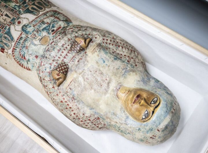 Hereret, česky Květina, je nejkrásnější staroegyptskou mumií v České republice. Její půvab a poutavý příběh budou moci od 26. března obdivovat návštěvníci nové výstavy Ve stínu pyramidy v Českém muzeu stříbra v Kutné hoře, v budově Hrádku v Barborské ulici. Návštěvníci zde uvidí také mumie kočky a sokolovitého dravce, amulety v podobě staroegyptských božstev, skaraby, pohřební sošky zvané vešebty, náhrdelníky a nádoby z počátku egyptské civilizace. Výstavu doprovodí také přednášky a komentované prohlídky věnované starověkému Egyptu, mumifikaci a sběratelství egyptských starožitností v českých zemích. „Výstava Ve stínu pyramidy představí jedinečnou mumii mladé urozené ženy, která byla pohřbena v Lahúnu ve středním Egyptě, a poukáže i na další kulturně-historické souvislosti spojené s vystavenými egyptologickými předměty. Vzácné nálezy věnoval v roce 1912 svému rodnému městu moravskotřebovský sběratel a mecenáš Ludwig Holzmeister,“ říká ředitelka Českého muzea stříbra Lenka Mazačová. „Téma starého Egypta považujeme za velmi prestižní a vzhledem k rekonstrukci Městského muzea v Moravské Třebové můžeme teď jejich celou egyptologickou kolekci ukázat i u nás. Nově s ní vystavíme také další pozoruhodné starožitnosti a amulety pocházející z našich vlastních sbírek a ze sbírek Náprstkova muzea v Praze,“ dodává Mazačová. K výstavě chystá České muzeum stříbra také vzdělávací programy pro žáky základních a středních škol. „Po stopách mumie budeme putovat i v létě, kdy jsme pro děti připravili dva turnusy příměstského tábora,“ uvádí ředitelka muzea, které patří k nejnavštěvovanějším památkám Středočeského kraje. Do boje se slepým Žižkou i za slávou kutnohorských varhanářů Vedle egyptologické výstavy připravuje muzeum od 5. dubna na Hrádku ještě další výstavu: „Letos si připomínáme 600 let od husitské bitvy u Malešova. Odehrála se poblíž malešovské tvrze, což je asi šest kilometrů od Kutné Hory. Bitvě velel tehdy již zcela slepý Jan Žižka. Přesto dokázal využít terénu tak, aby eliminoval početní převahu pražanů, které zde v jedné z nejkrvavějších bitev husitských válek porazil. Výstavu Kutná Hora husitská chceme pojmout jako interaktivní instalaci zaměřenou zejména na rodiny s dětmi,“ dodává Lenka Mazačová. K vidění bude například ukázka dobové zbroje a zbraní. Představí se rovněž soubor nálezů z nedalekého hradu Sion. „Díky kopiím řady předmětů se budou moci návštěvníci přenést do 15. století, stát se husitou a zařadit se po bok Jana Žižky táhnoucího na Kutnou Horu,“ zve na výstavu Mazačová. Souběžně s Hrádkem otevře novou výstavu i Kamenný dům, který je také součástí kutnohorského muzea. Zde bude – rovněž od 5. dubna – probíhat výstava Kutnohorská varhanářská škola. Ta představí dlouholetou tradici kutnohorského varhanářství od 17. do 20. století se zaměřením na jednotlivé varhanářské rody a jejich nástroje právě v tomto městě. Vzácné razidlo, housle i zlomek mlecího kamene České muzeum stříbra se pyšní i novým unikátním nálezem, jímž je bronzové razidlo na brakteáty. „Brakteáty byly jednostranné tenké stříbrné mince přímo předcházející ražbě pražských grošů, kterou v roce 1300 v Kutné Hoře zavedl Václav II.,“ vysvětluje Lenka Mazačová. „Do Vlašského dvora soustředil všechny dosavadní mincovny z celého království, včetně té ze Zhořelce, z níž pochází i toto razidlo. Brakteátová razidla jsou vzácná a v celé ČR je můžeme spočítat na prstech jedné ruky,“ upozorňuje ředitelka muzea. Druhou mimořádnou akvizicí jsou housle kutnohorského mistra houslaře Ferdinanda Josefa Homolky z roku 1847, jemuž se říkalo „kutnohorský Stradivari“. „A do třetice všeho mimořádného: od soukromého dárce jsme získali zlomek mlecího kamene určeného k rozemílání rudy, který našel v korytě říčky Vrchlice. Nález je jedinečný, jde o první doložený kámen z rudního mlýna v celém kutnohorském revíru. Stříbrnou rudu bylo totiž nutné před jejím tavením nejprve rozdrtit nebo rozemlít,“ líčí Lenka Mazačová a zdůrazňuje, že k Hrádku a jeho lákadlům patří také návštěva dolu, která je velmi oblíbená. „Bezpochyby patříme k muzeím, kam by měl alespoň jedenkrát v životě zajet každý, kdo má rád historii a památky,“ zve na návštěvu Českého muzea stříbra Lenka Mazačová. www.cms-kh.cz Ve stínu pyramidy – 26.3.- 30. listopadu 2025 Kutná Hora Husitská – 5. dubna – 13. října Kutnohorská varhanářská škola – 5.dubna – 30.listopadu Víte, že… …sběratelství a cestování na Blízký východ a dovoz tamějších suvenýrů – originálních archeologických nálezů – bylo na počátku 20. století téměř módní záležitostí? Kutnohorskému muzeu daroval egyptologické předměty již v roce 1880 MUDr. František Stáně, dlouholetý předseda Archeologického sboru Vocel. …příběh krásné mumie Hereret začal v letech 1911 až 1912? V té době Ludwig Holzmeister společně s manželkou Marthou a dvěma neteřemi podnikl cestu po severní Africe. Nejdříve navštívil Maghreb, konkrétně Alžírsko a Tunisko, a následně procestoval celý Egypt. Během pobytu v Káhiře zavítal pravděpodobně i do obchodu vysloužilého amerického diplomata Ralpha Huntingtona Blancharda, který prodával starožitnosti při Egyptském muzeu v Káhiře. Právě zde nejspíš Holzmeister zakoupil mnoho cenností, včetně ženské mumie ve dvojité rakvi. Ta pocházela s největší pravděpodobností z výkopů slavného egyptologa Flinderse Petrieho ve středoegyptském Lahúnu. Pečlivě mumifikované ženské ostatky uložené ve dvojité rakvi pak společně s ostatními předměty dorazily do moravskotřebovského muzea v květnu roku 1912. Zde byla pak Hereret po dalších 111 let nejvýraznějším exponátem celého muzea. …mumie Hereret je stará bezmála tři tisíce let? Šlo o osobu vyššího společenského postavení. Mumie již dvakrát prošla radiologickými vyšetřeními: první se uskutečnilo na počátku 70. let minulého století, druhé na sklonku prvních let 21. století. Vyšetření mimo jiné prozradila, že žena zemřela mezi 20. a 30. rokem života. Tělo je zabaleno v malované kartonáži a uloženo ve dvou dřevěných rakvích z cedrového dřeva, které zdobí půvabné portréty. Samotné ostatky chrání původní přiléhavý, dobře zachovalý obal z obinadel, zbytků papyrů, dřeva a štukovací omítky. Tento kartonážový krunýř je podle odborníků výjimečně bohatě zdobený a celkově vydařený. Jsou na něm zobrazeny náboženské výjevy, které se vztahují k posmrtnému životu.