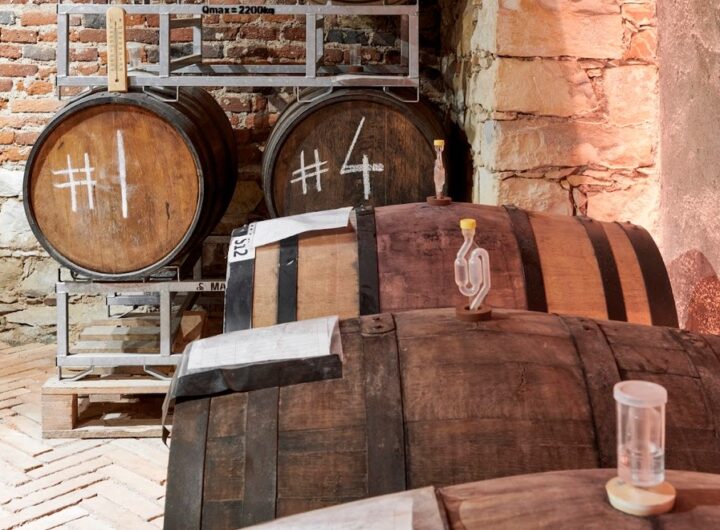 Dva kohouti, pivo, plechovka, Karlínský podnik, Lukáš Tomsa