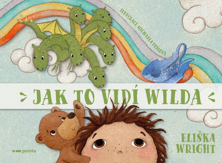 Jak to vidí Wilda