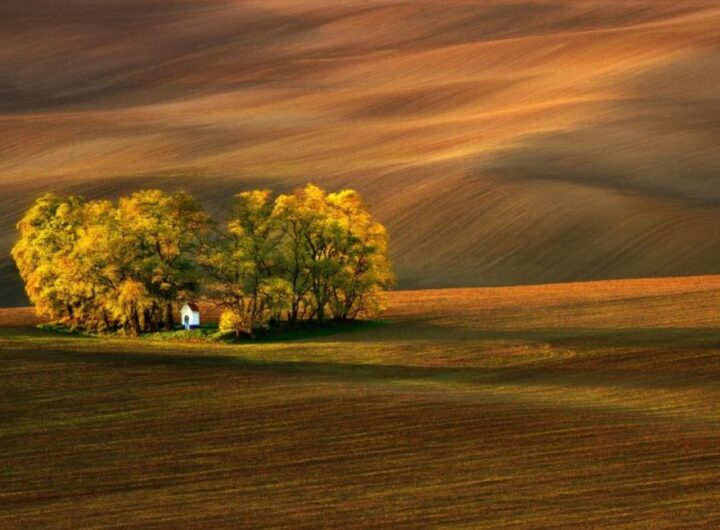 Krajinou Moravského Toskánska s fotoaparátem