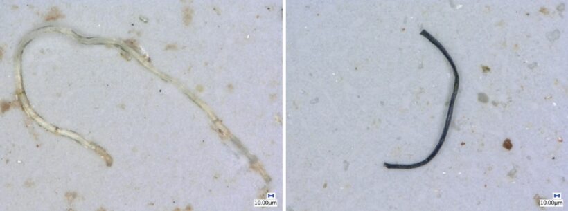 Mikroplasty , vzdělávacího centra TEREZA, vzdělávacího centra TEREZA, Soda Stream, Den vody