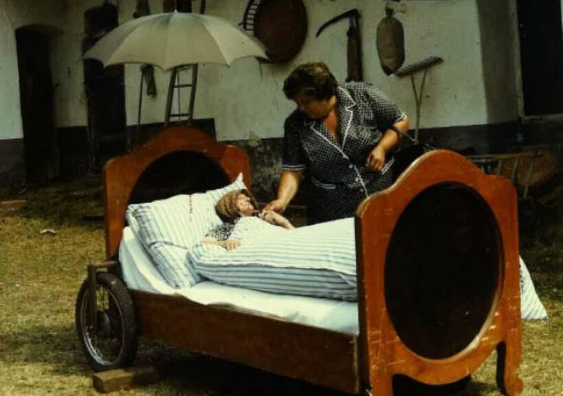 Slunce, seno, jahody