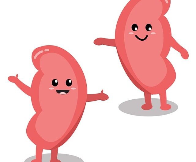 Světový den ledvin