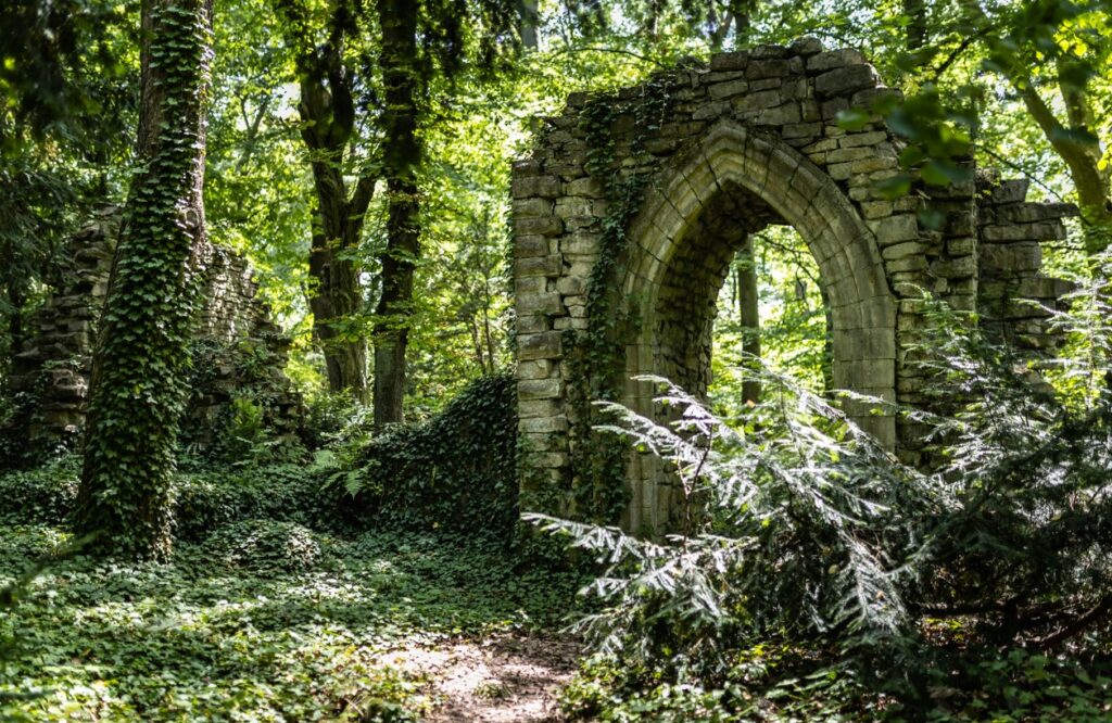 Vácrátót_Arborétum-98