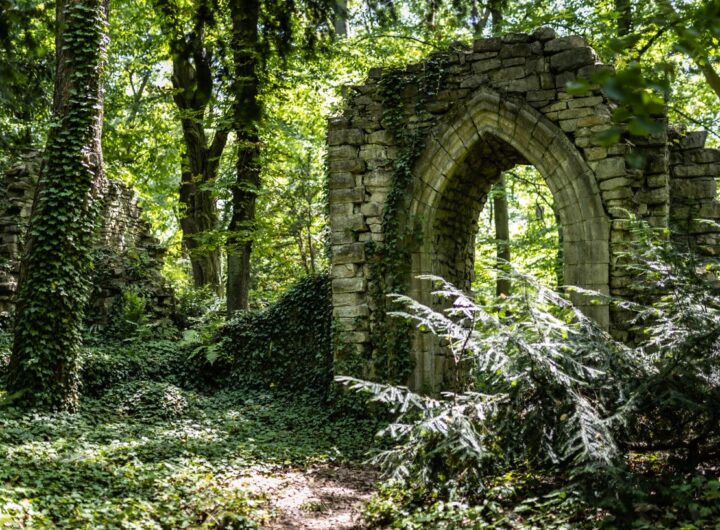 Vácrátót_Arborétum-98