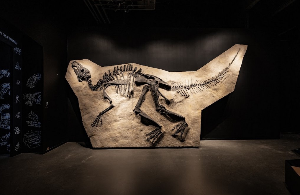 muzeum Dinosauria