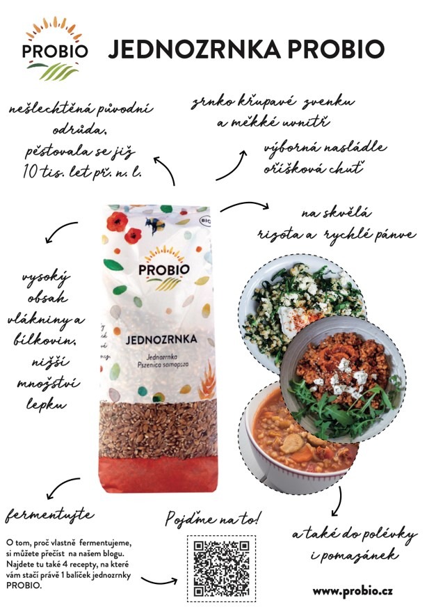 Jednozrnka, probio, obilí