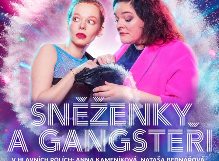 Sneženky a gangsteři