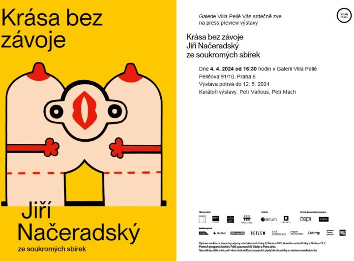 Výstava Jiřího Načeradského Krása bez závoje