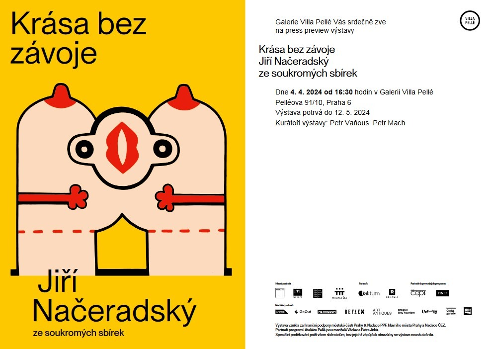 Výstava Jiřího Načeradského Krása bez závoje