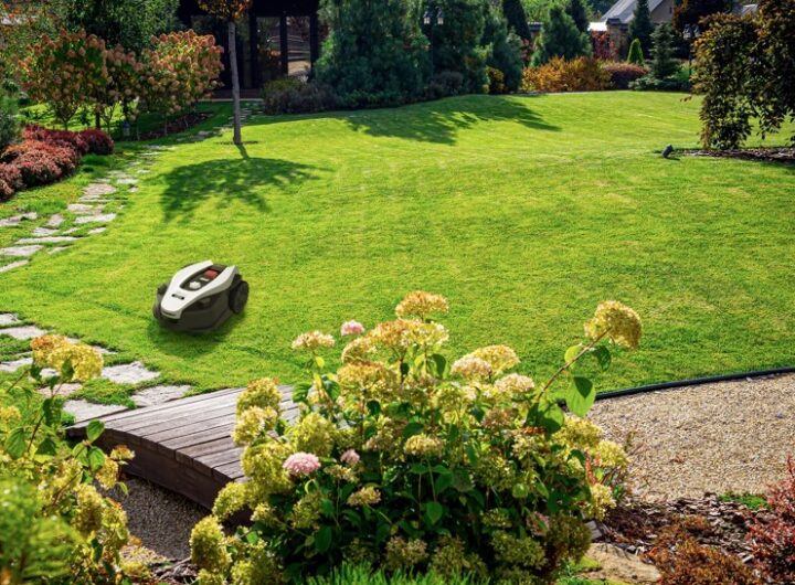 Zahradní inovace Jak díky nim dosáhnout dokonalé zahrady