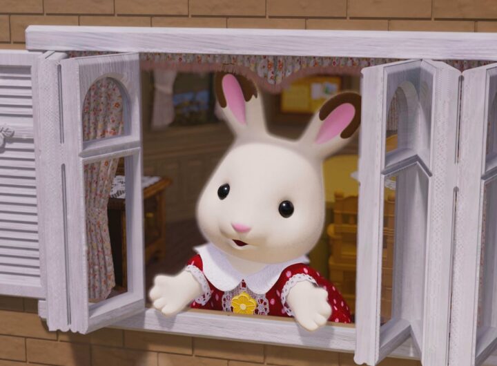 Dárek od Freyi, kultura, Sylvanian Families