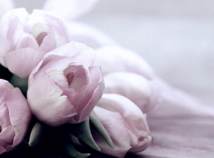 Den Matek, ilustrační foto