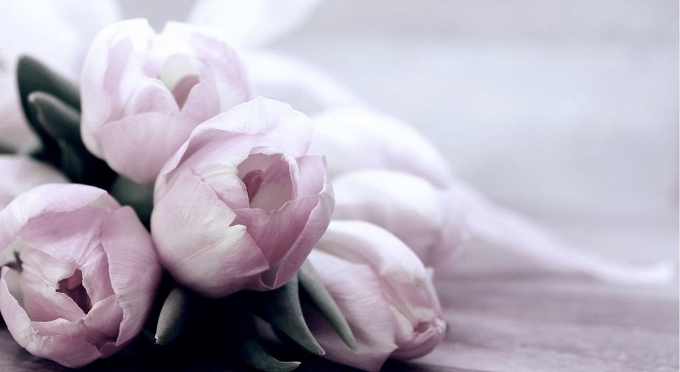 Den Matek, ilustrační foto